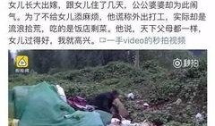爆料老吴事件视频大全最新,视频大全背后的真相与争议