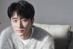 成毅黄磊爆料视频大全最新,揭秘娱乐圈幕后真相