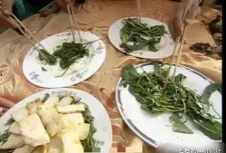 西安最新吃瓜爆料信息,揭秘网红美食背后的秘密风暴