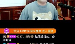 爆料老吴事件视频大全最新,视频大全背后的真相与争议